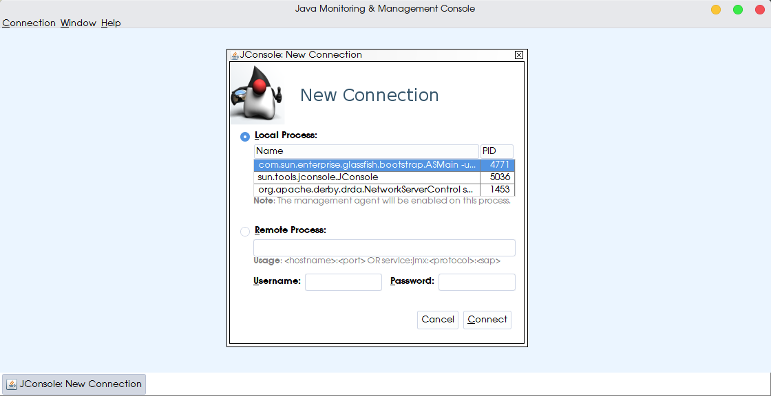 JConsole adding Payara