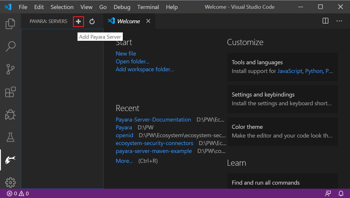 Add Payara Server